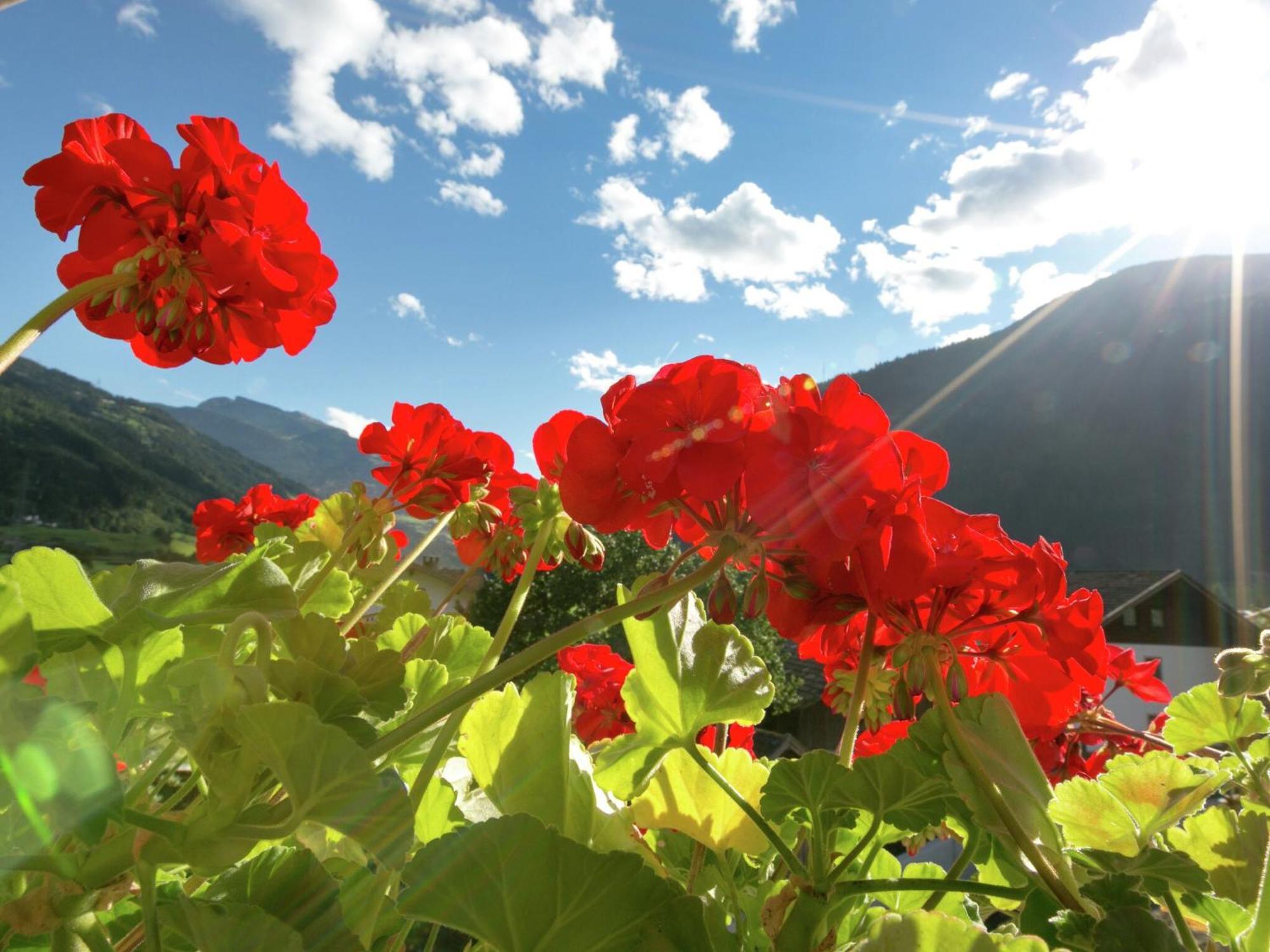 Apartment With Terrace In Aschau Im Zillertal Kültér fotó